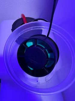 Nero 5 wave maker