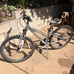Trek Women’s Bike Skye Small or XS