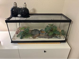 Aquarium 40 gallon