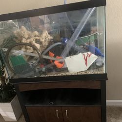 Aquarium For Sale 