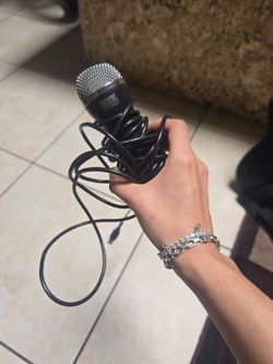 Rockband mic