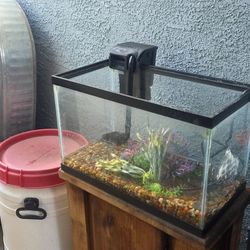 10 Gallon Aquarium 
