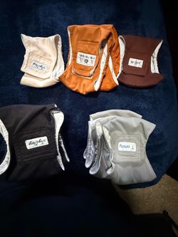 Male dog diapers