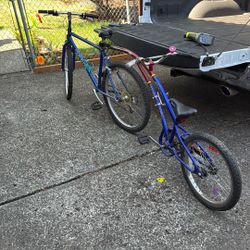 Parent With Child Bike 
