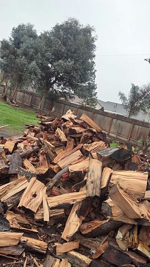 Eucalyptus Firewood For Sale For Sale In Fresno Ca Offerup