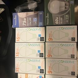 Bulbs 