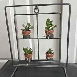 Metal Hanging Frame Plant Stand