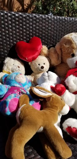 Teddy bears for $5