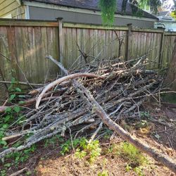 Free Stuff - Firewood, Landscaping, Flowerpots, Cabinet