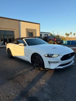 2019 Ford Mustang