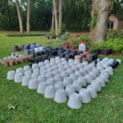 HUGE Lot Of Potting Planters/Holders 