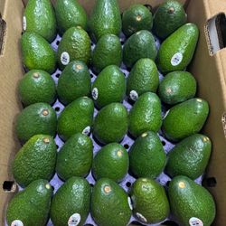 Avocados 