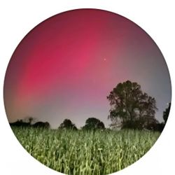 Any Help Is Appreciated 