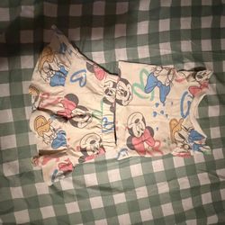 Minnie and Daisy Two piece skirt set