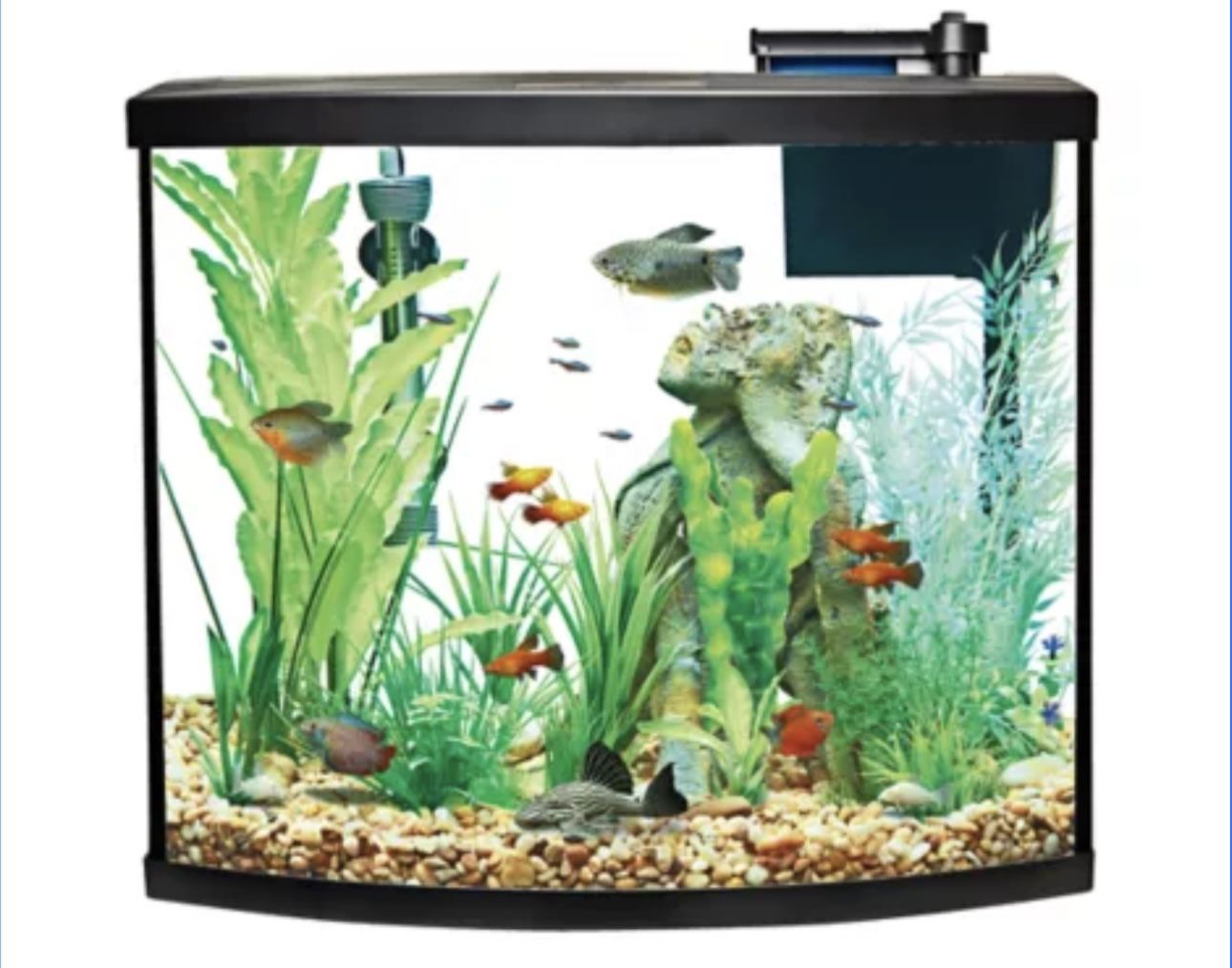 36 Aquarium