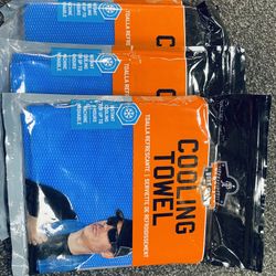 Cooling Towels (Set Of 3)