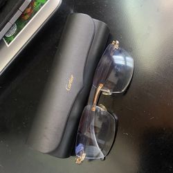 Cartier White Buffalo Horn Sunglasses
