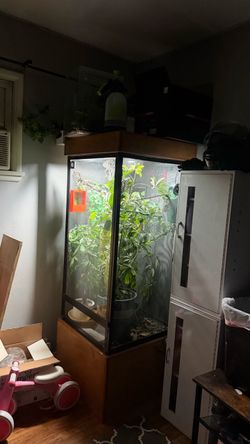 XL chameleon enclosure