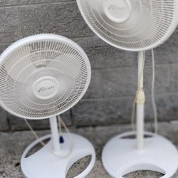 Adjustable Height Oscillating Fan.. 