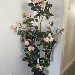 Artificial  Plant