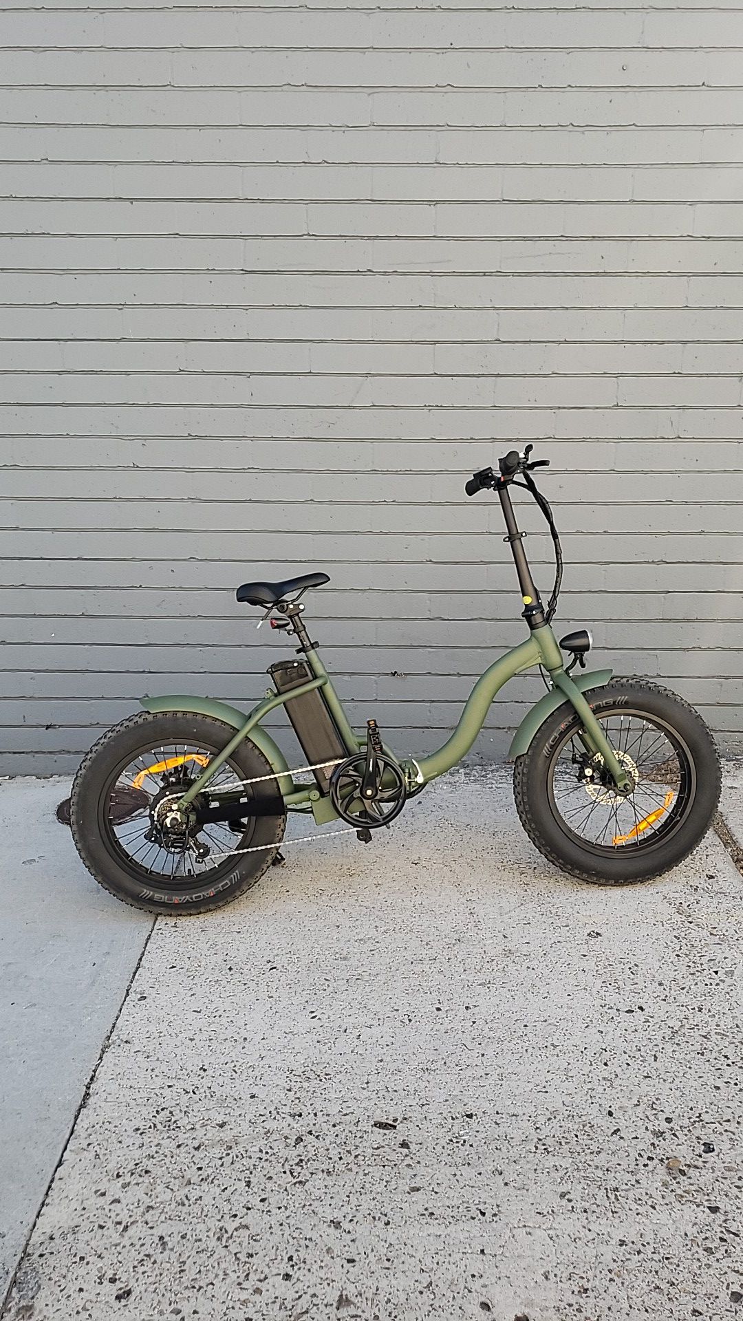 NEW Electric Bicycle 48V 500W "TJC" Moss Chaos