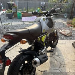 2023 Honda Grom