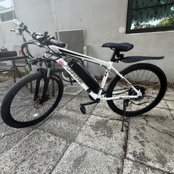 Electric Bike 500 Watts