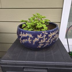 Large Shallow Ceramic Garden Pot