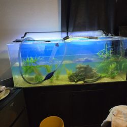 110 Fresh Water Acrylic fish tank four hundred and fifty dollars
