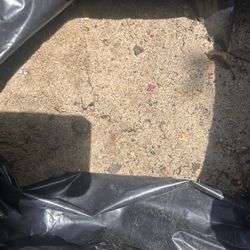 Free Sand! 