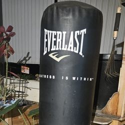 Stand Up Punching Bag 