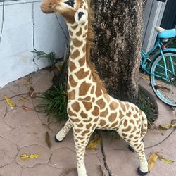 Giraffe 