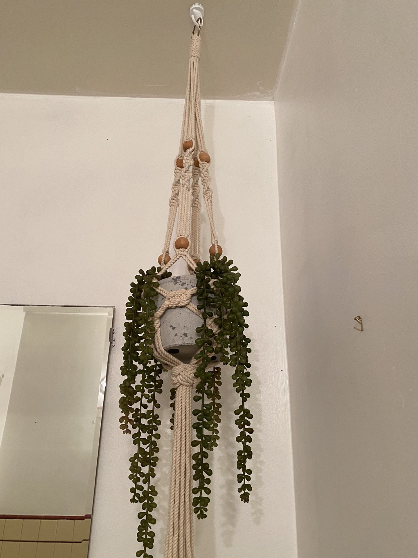 Fake plant and hanger