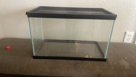 Small reptile tank
