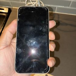 iPhone 16E