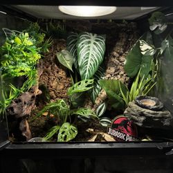 Reptile Terrarium  