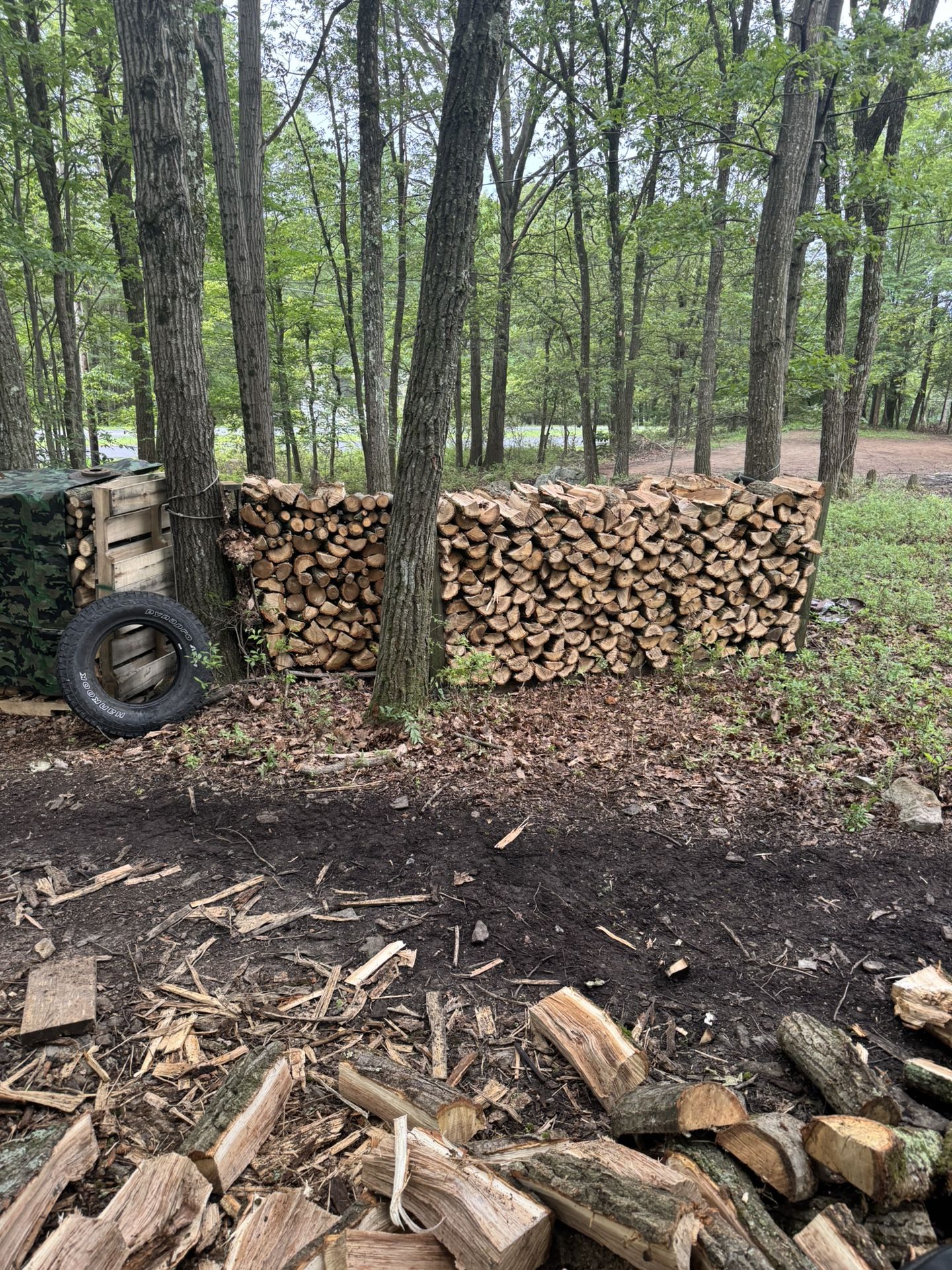 Firewood 7 Cords Available!