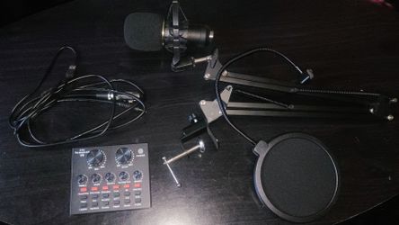 Professional Condenser Microphone