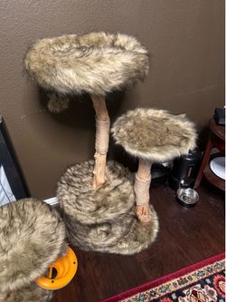 Mau alba cat tree