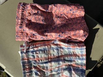 4t Swim Trunks 