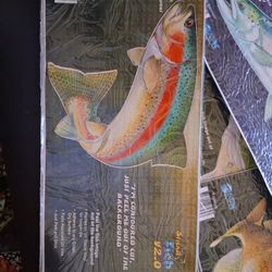 Fishing Decals 