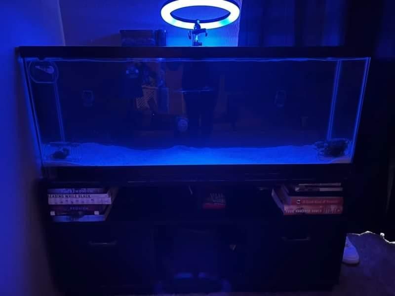 55 Gallon Aquarium