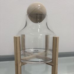 Glass And Wood Terrarium 