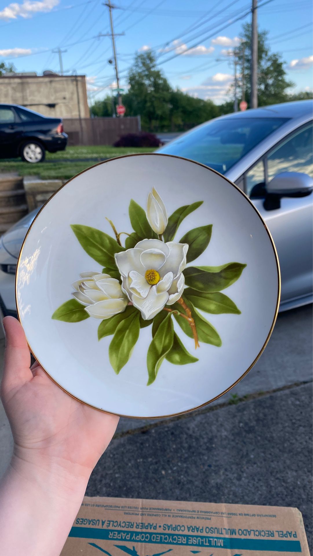 Baranyk Design flower decorative plate