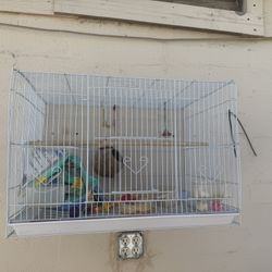Bird Cage 