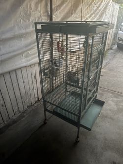 Bird Cage