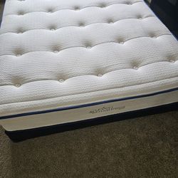 Queen Matters And Box Condition Like New