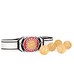 Power Rangers Belt with Removable Morpher - Mighty Morphin Power Rangers
