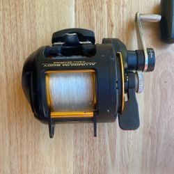 Daiwa Sealine SLD20-ll