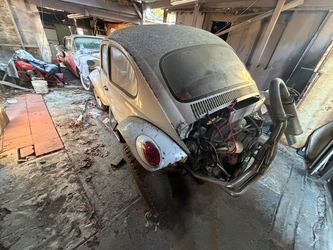 Volkswagen Beetle Baja Bug
